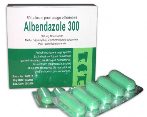 what does albendazole treat in dogs