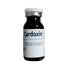 Cardoxin Generic Digoxin Prescriptiongiant